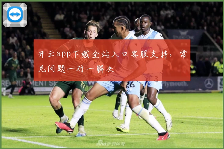 开云app下载全站入口客服支持，常见问题一对一解决