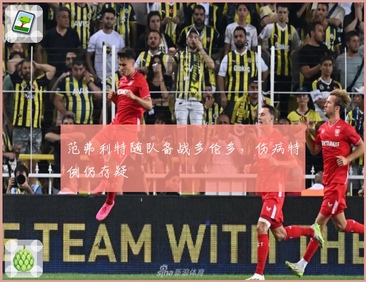 范弗利特随队备战多伦多，伤病特例仍存疑