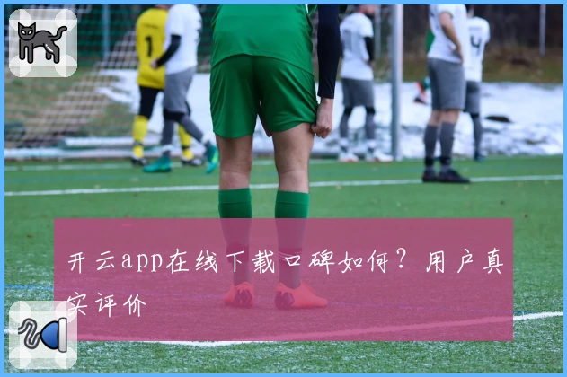 开云app在线下载口碑如何？用户真实评价